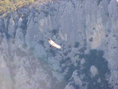 verdon-schlucht