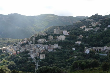 rogliano