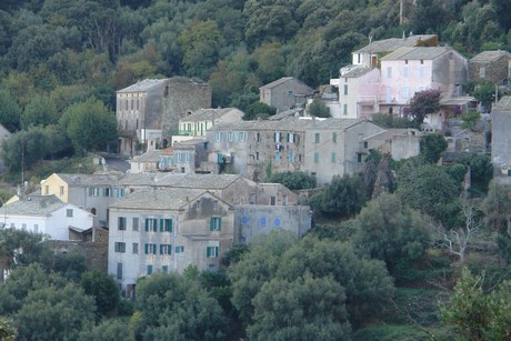 rogliano