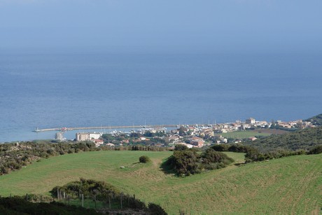 rogliano