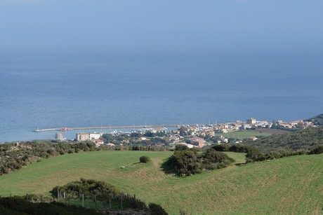 rogliano