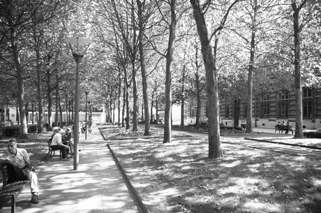 Roubaix