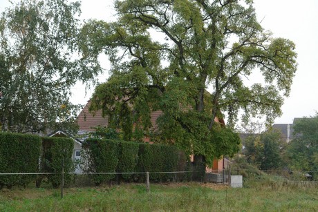 rustenhart