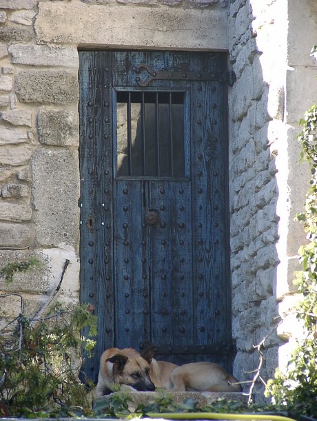 saignon