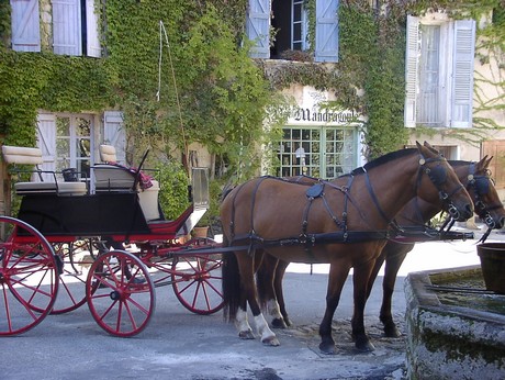 saignon