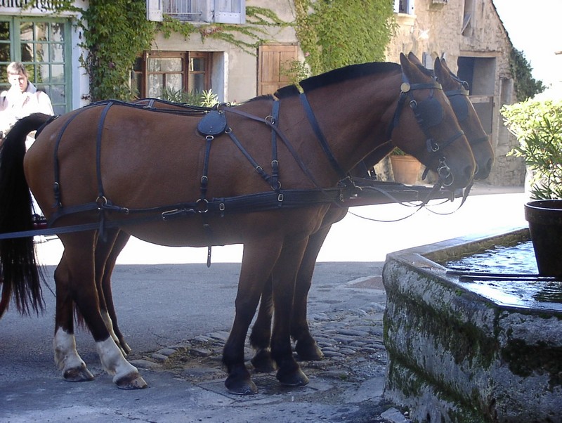 saignon