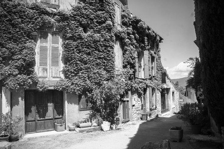 saignon