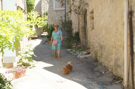 saignon