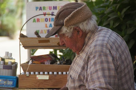 saignon