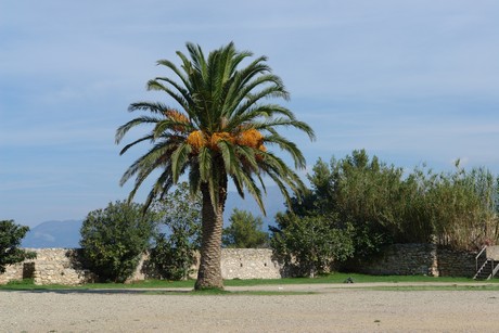 saint-florent-citadelle