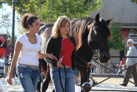 saint-florent