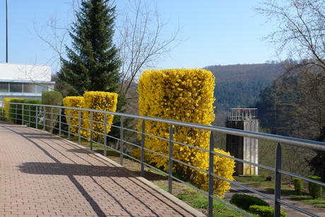 saint-louis-arzviller