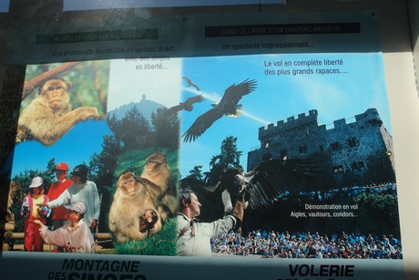 saint-louis-arzviller