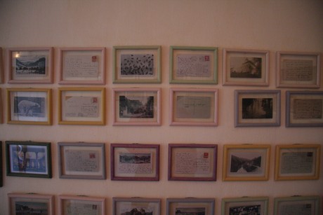 museum-colette