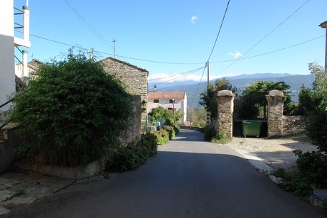 santo-pietro-di-tenda