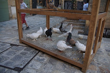 Sarlat