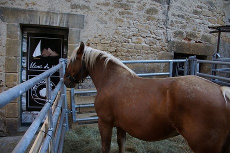 Sarlat