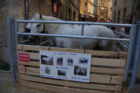 Sarlat