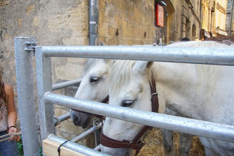 Sarlat