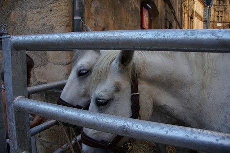 Sarlat