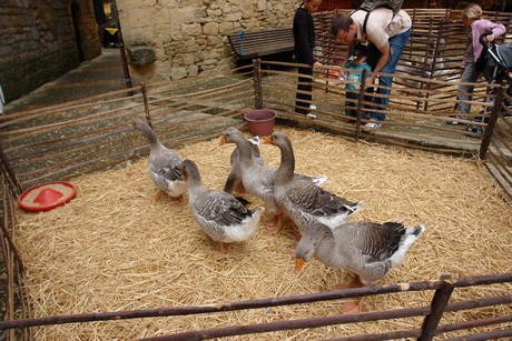 sarlat-markt