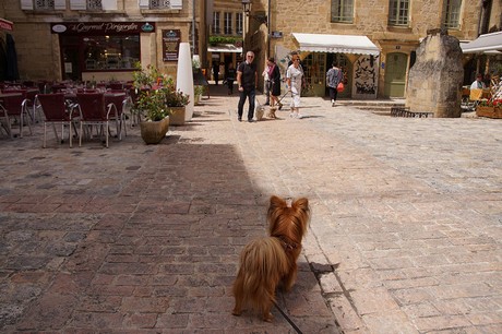 Sarlat