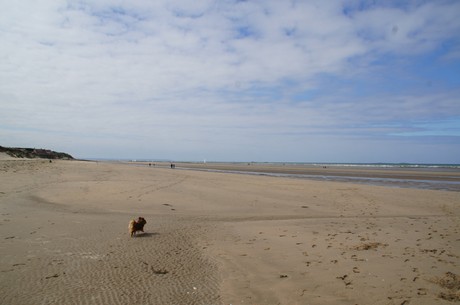 utah-beach