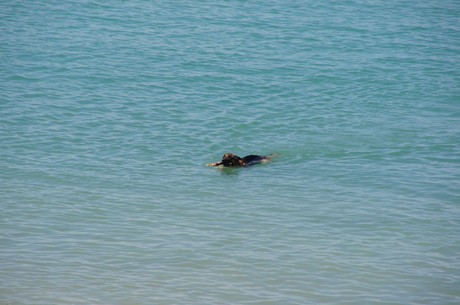 veulettes-sur-mer