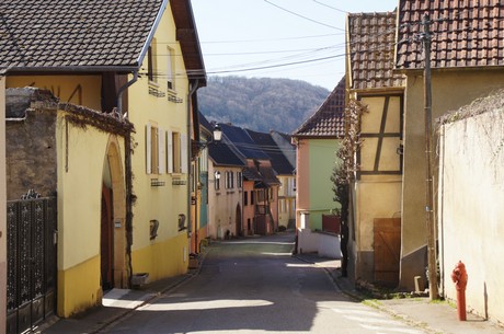 Westhalten